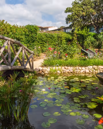 Jardin
